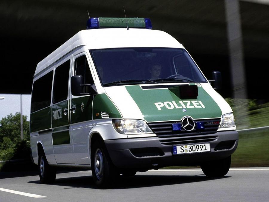  Mercedes-Benz Sprinter Polizei 2000 года  (фото 1 из 1)